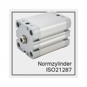 Normzylinder iso21287