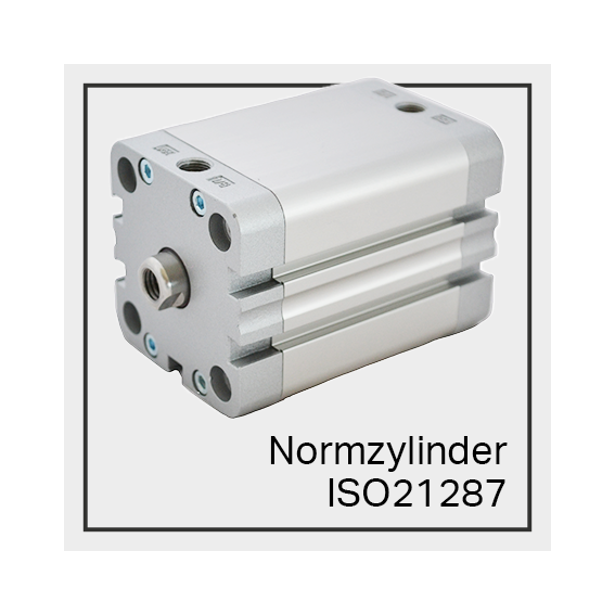 Normzylinder iso21287